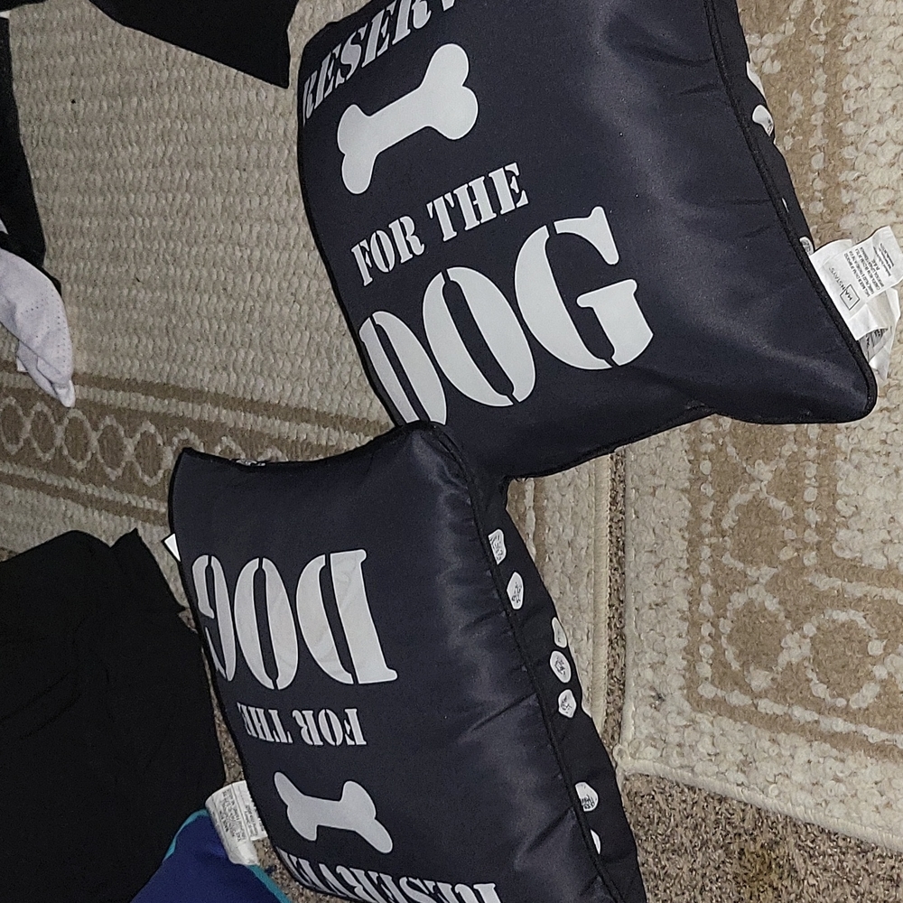 2 house pillows